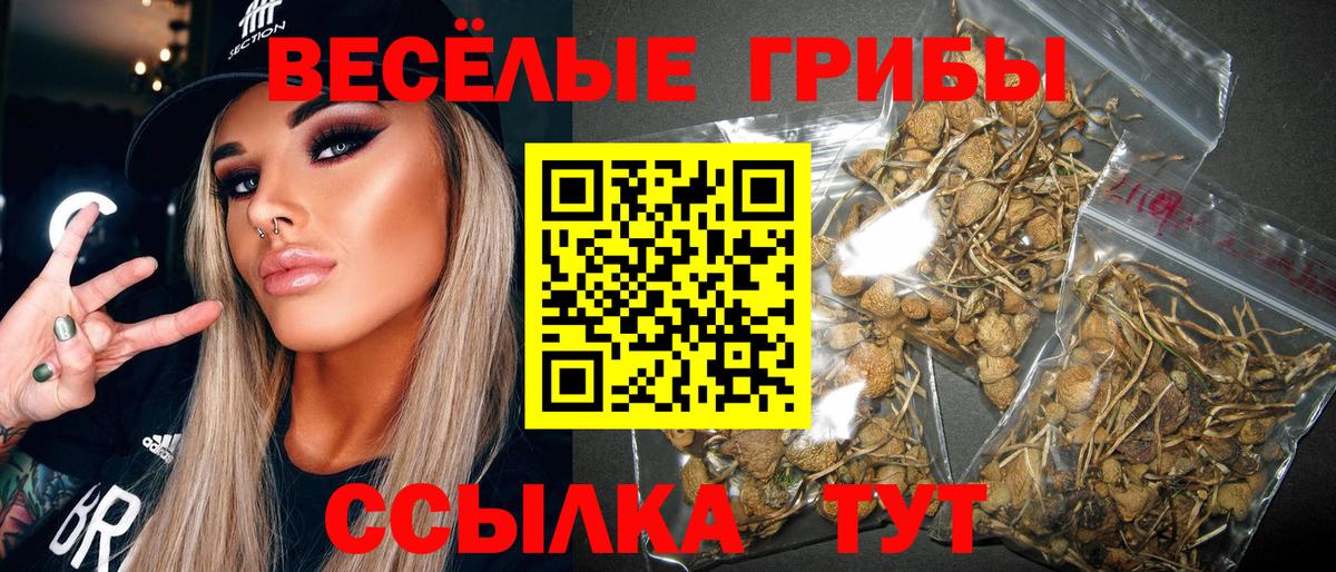 Нурлат  Галлюциногенные грибы ЛСД  Псилоцибиновые грибы GOLDEN TEACHER  Вход с VPN 